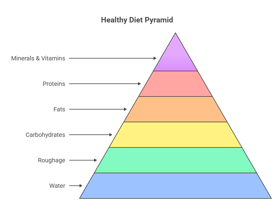 main healthy food component