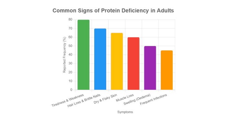 Here are the most typical indicators that an adult isn’t getting enough protein, based on studies