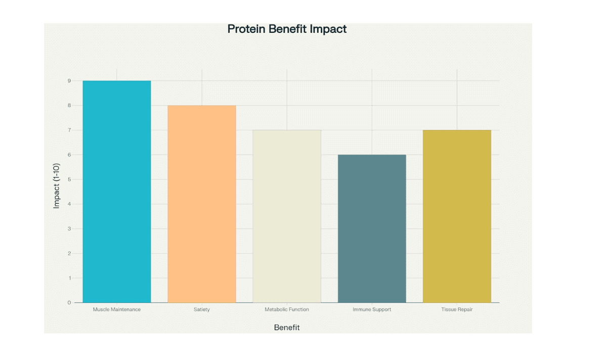 A bar chart highlighting the main benefits of protein, such as muscle maintenance, satiety, metabolic function, immune support, and tissue repair
