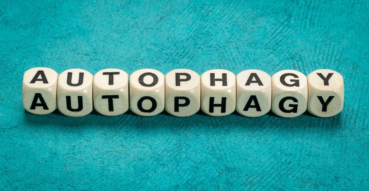 The Science of Autophagy: Cleaning from Inside