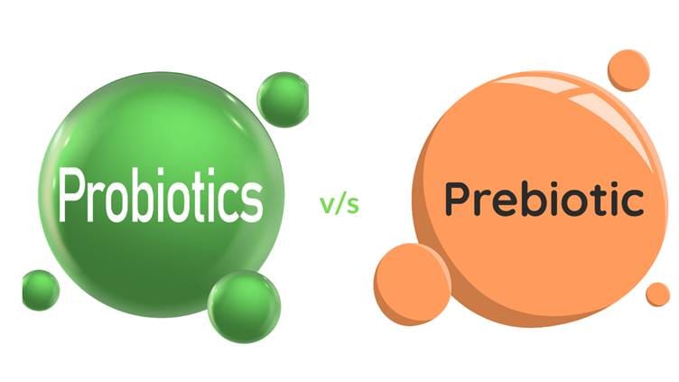 Probiotics vs. Prebiotics: What’s the Difference?