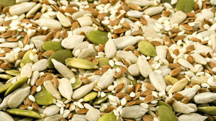 The main ingredient of Any Best DIY Protein Powder