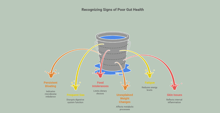 Infographic summary of the main signs of poor gut health