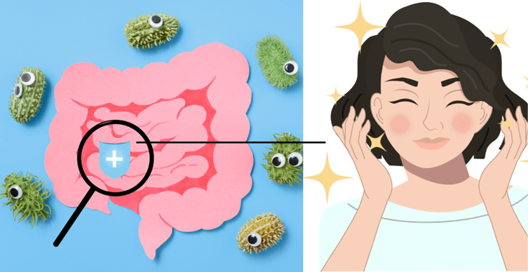 How Gut Health Affects Skin: The Relation Between Gut Health and Skin