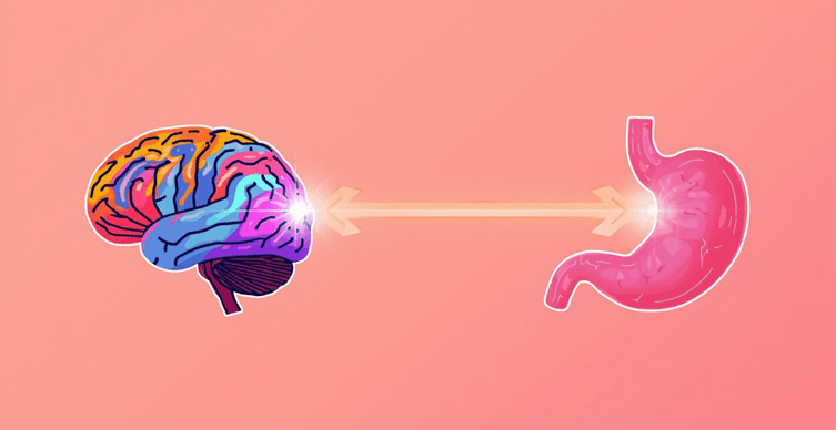 Gut-brain connection illustration showing link between stomach and mind.