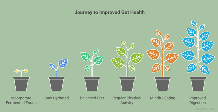 infographics of journey to improved gut health