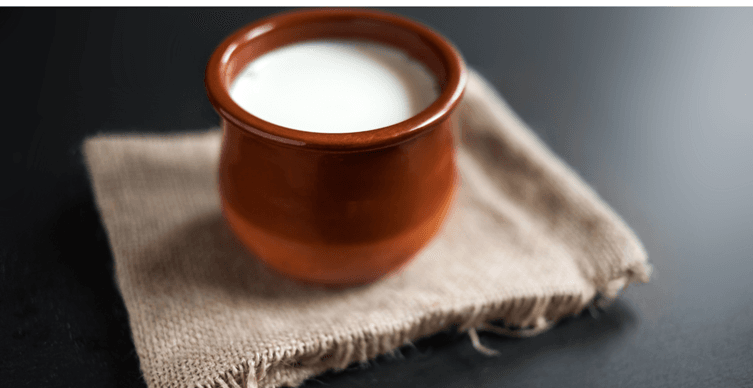 curd is India's best fermented food