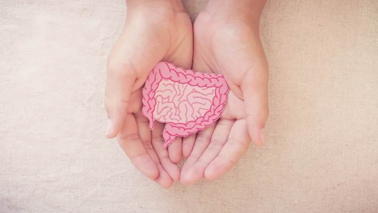 15 Best Foods to Improve Gut Health Naturally