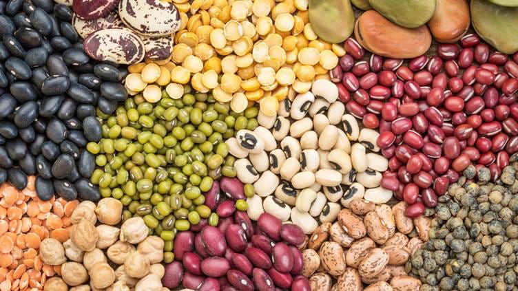 Dal and beans give both plant protein and prebiotic fibre. They feed gut bacteria while keeping you full longer.